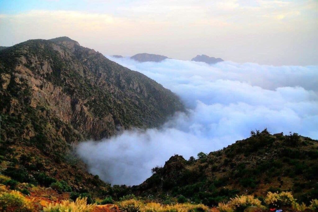 السودة